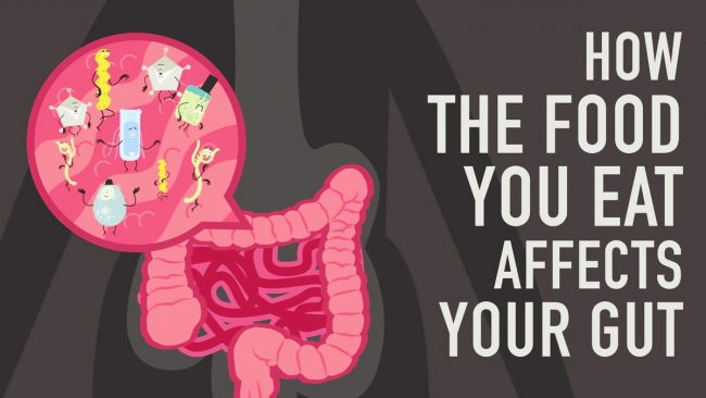 food gut